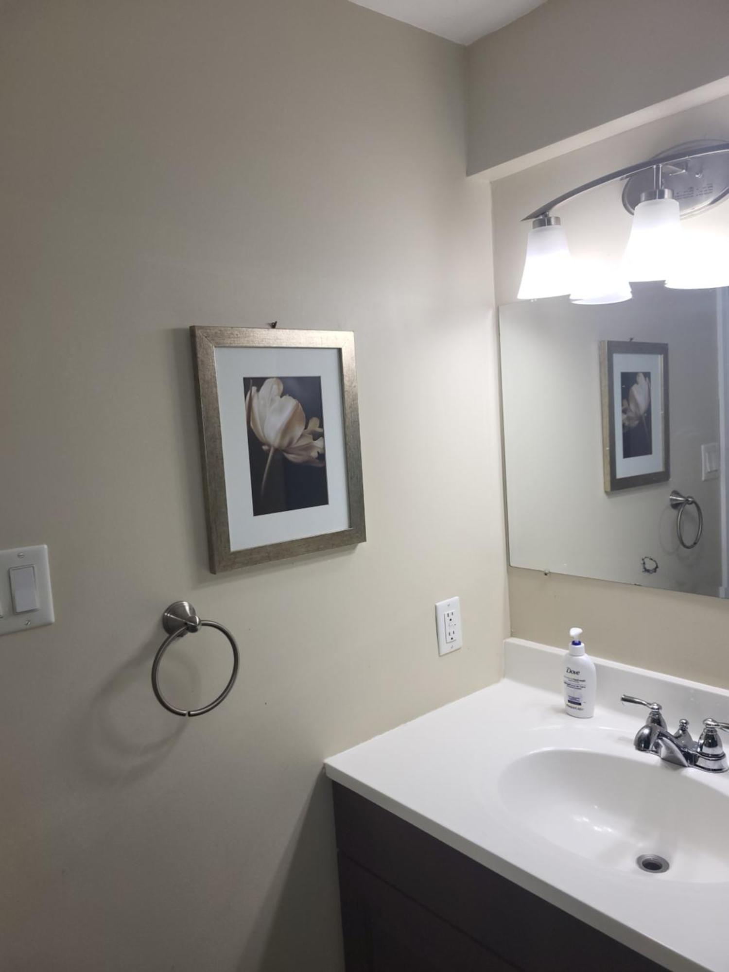 Lovely Guest Entire Apartment Minutes From Ottawa Airport Buitenkant foto